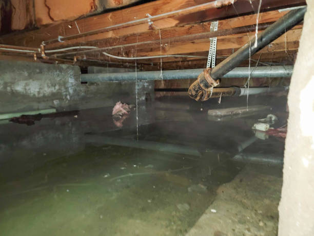 Best Carpet water damage restoration  in Waipio Acres, HI