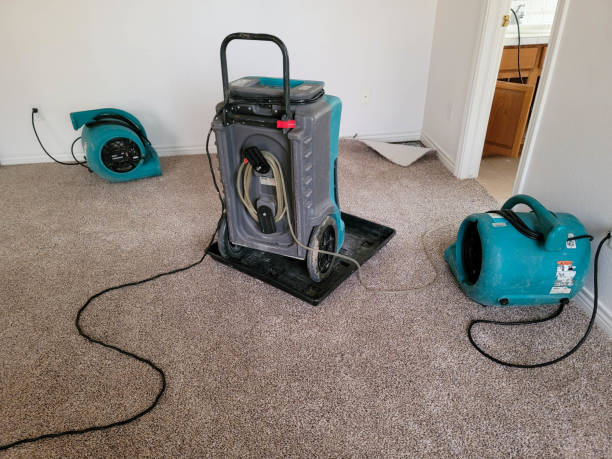 Best Basement water damage restoration  in Waipio Acres, HI