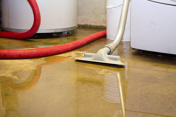 Best Flood damage cleanup  in Waipio Acres, HI
