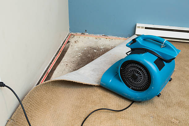 Best Commercial water damage restoration  in Waipio Acres, HI